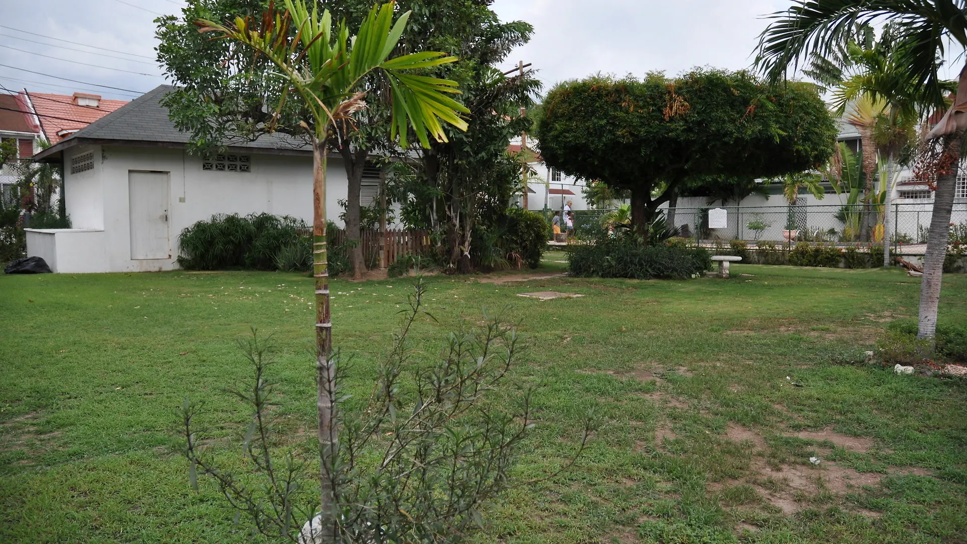 New Kingston Guest Apartment VII Enfield